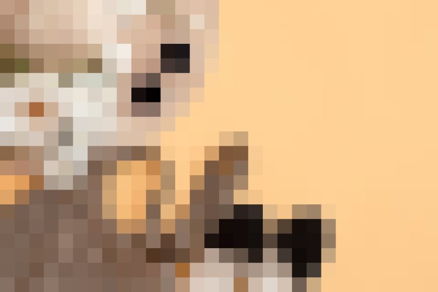 Highly pixelated image with warm beige and brown tones; no identifiable subject or details available.