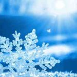 ლელა წურწუმიას შესრულებული Dançando lambada ინტერნეტს იპყრობს | შენი განათლება