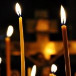 მეცნიერებმა ღორის ტვინი სიკვდილიდან ერთი საათის შემდეგ გააცოცხლეს | შენი განათლება