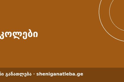Brown banner with white Georgian text on the left, decorative white circular outlines in the top-right, and a darker brown footer bar containing additional Georgian text and the URL sheniganatleba.ge.
