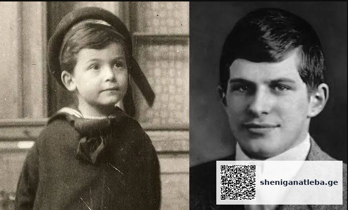 ყველაზე ჭკვიანი ადამიანი ისტორიაში, რომლის შესახებაც არავინ არაფერი იცის – სიღარიბესა და მარტოობაში მცხოვრები გენიოსის სევდიანი ამბავი | შენი განათლება